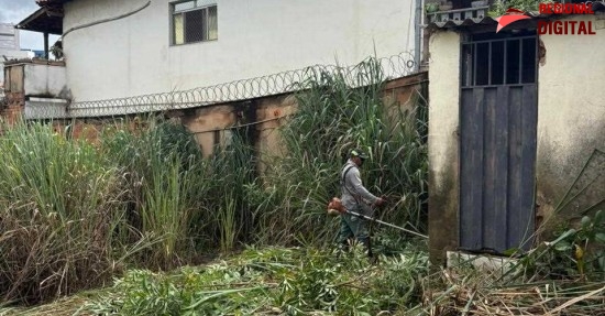 Prefeitura notifica propriet?rios para limpeza de lotes e refor?a alerta sobre alto ?ndice do LIRAa